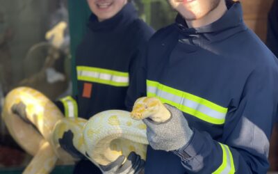 Une visite au ZOO pour les Jeunes Sapeurs Pompiers de Pouzauges